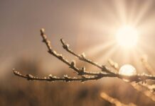 Какая погода будет в Одессе на выходных 5 и 6 февраля