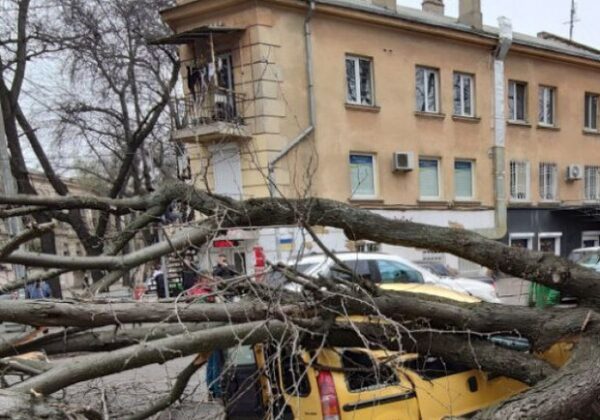 Из-за сильного ветра в Одессе произошел деревопад Из-за сильного ветра в Одессе произошел деревопад