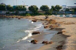 Мусор и плавни: в Одессе не убирают пляж в курортном микрорайоне Мусор и плавни: в Одессе не убирают пляж в курортном микрорайоне