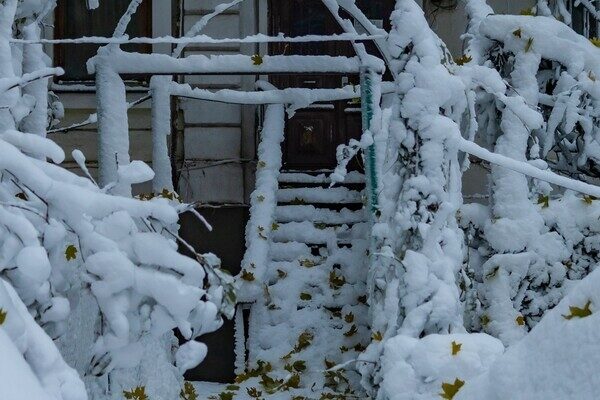 Метель осенью в Одессе – это еще и красиво: самые яркие кадры непогоды Метель осенью в Одессе – это еще и красиво: самые яркие кадры непогоды