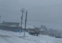 В Одесской области из-за непогоды без света остаются более 100 населенных пунктов (обновлено)