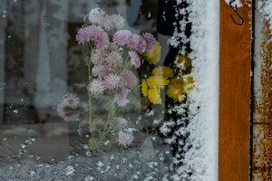 Метель осенью в Одессе – это еще и красиво: самые яркие кадры непогоды Метель осенью в Одессе – это еще и красиво: самые яркие кадры непогоды