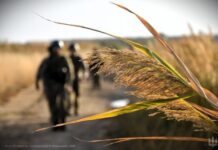 Какая ситуация в Одессе и области утром 11 января и что произошло с ПМР