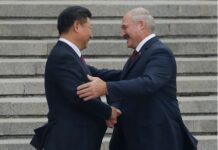 Відхід лукашенка і демократична білорусь були б цікаві Китаю, — експерт