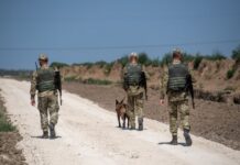 В Одесской области переправщик уклониста напал на пограничника