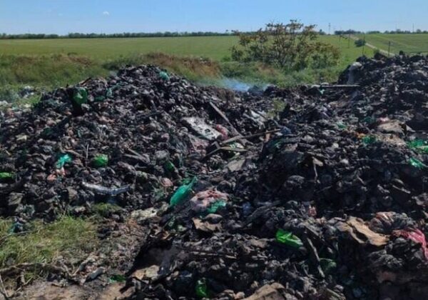 Под Одессой после "прилета" под открытым небом остались тонны мяса Под Одессой после "прилета" под открытым небом остались тонны мяса