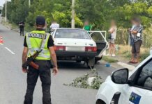 В Одесской области легковушка насмерть сбила шестилетнего мальчика