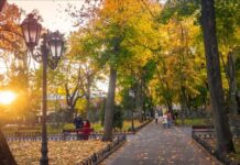 Концерты группы «Скай» и Shumei: куда пойти в Одессе в эти выходные