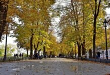 Прощаемся с октябрем: какая погода будет в Одессе в эти выходные
