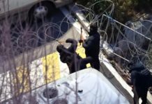 Беспрецедентный арест президента в Южной Корее