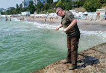 На пляжах Одессы проверили воду на мазут: результаты обнадеживают