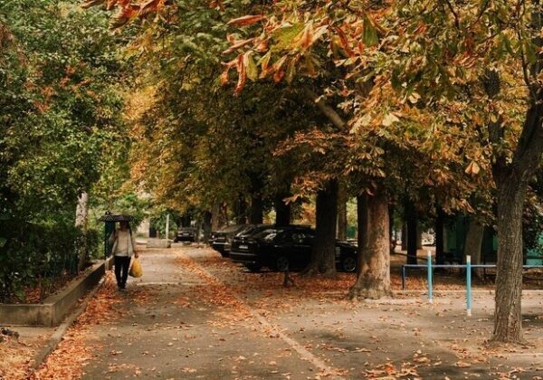 Тепло до +18 °С, но с дождями: какая погода будет в Одессе в эти выходные Тепло до +18 °С, но с дождями: какая погода будет в Одессе в эти выходные