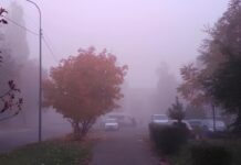 Туманный ноябрь: какая погода будет в Одессе на следующей неделе