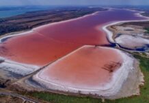 Производство соли и спасение Куяльника: в Одесской области появится новый завод