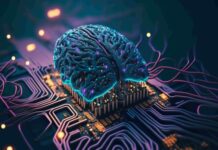 Имитация структуры мозга — новый путь к эффективности ИИ