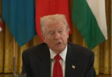 Трамп зробив несподівану заяву про прогрес у війні в Україні