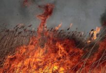 Очередной дроновый удар по Одесчине: на двух островах горит камыш