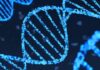 Google DeepMind расшифровывает рецепт жизни, записанный в ДНК