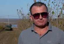 В Одесской области депутат мог скрыть 134 млн грн в декларации: делом заинтересовалось НАПК