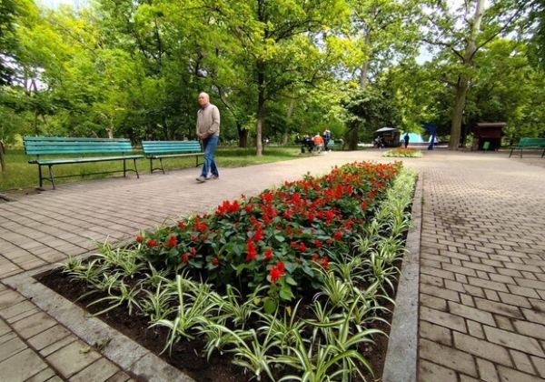 В Одессе на озеленение клумб планируют потратить более 815 тысяч гривен В Одессе на озеленение клумб планируют потратить более 815 тысяч гривен